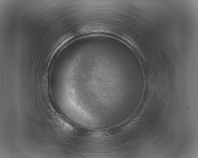 X0000052930790200507151615