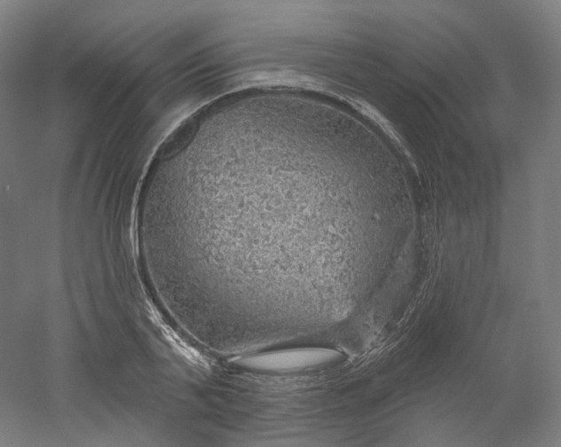 X0000052930791200507151615