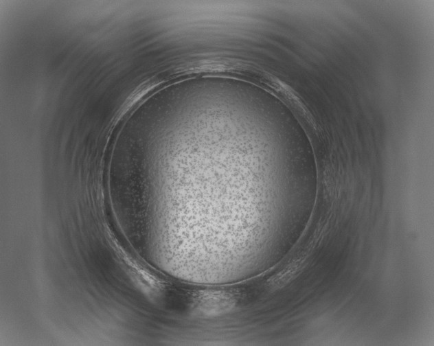 X0000052930794200507151615