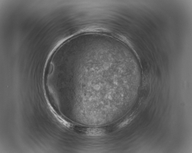 X0000052930795200507151615