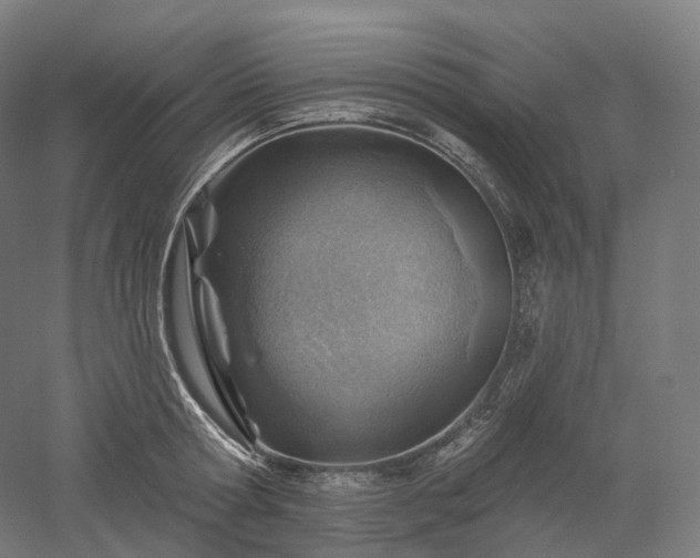 X0000052930802200507151615