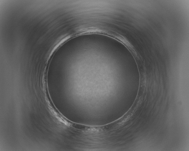 X0000052930806200507151615