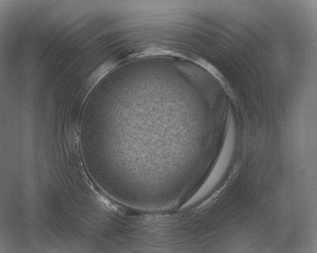 X0000052930809200507151615