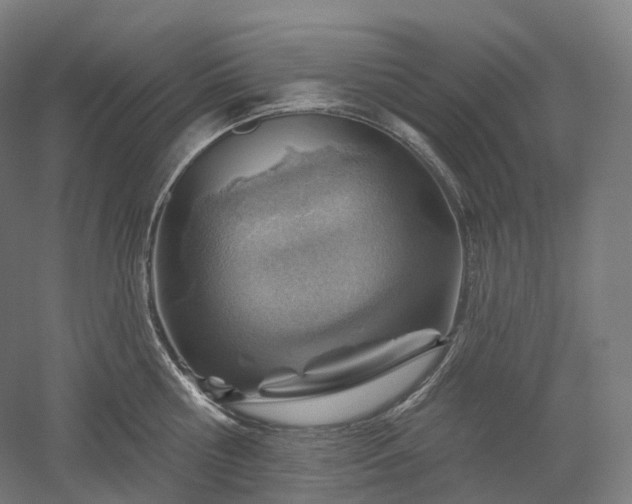 X0000052930810200507151615