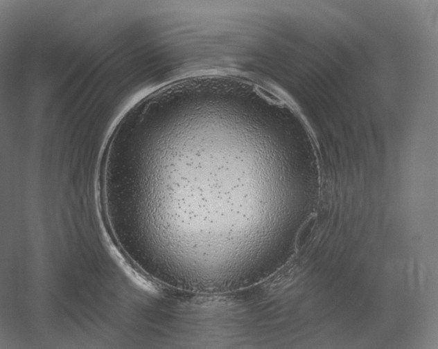 X0000052930811200507151615