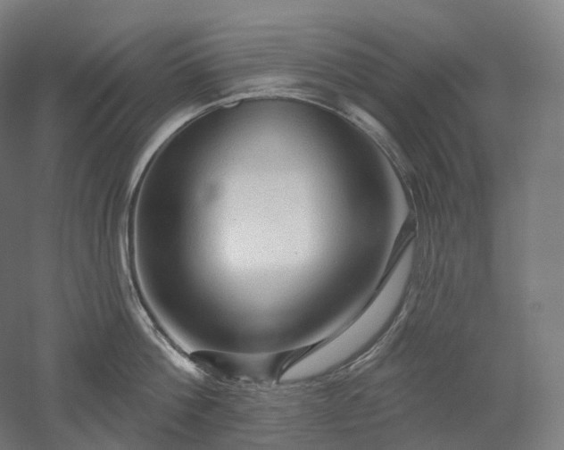 X0000052930812200507151615
