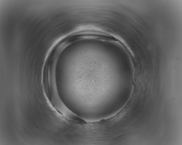 X0000052930815200507151615