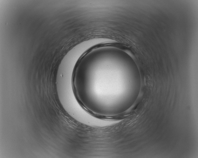 X0000052930818200507151614