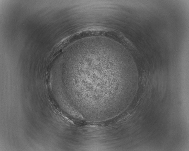 X0000052930821200507151614