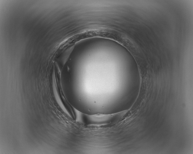 X0000052930822200507151614