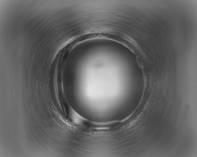 X0000052930826200507151614
