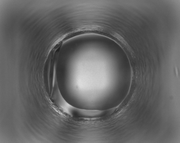 X0000052930834200507151614