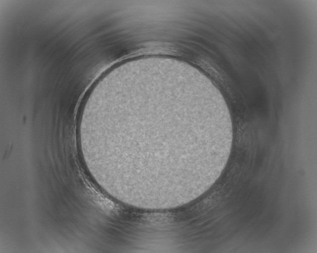 X0000052930836200507151614