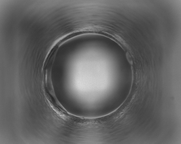 X0000052930838200507151614