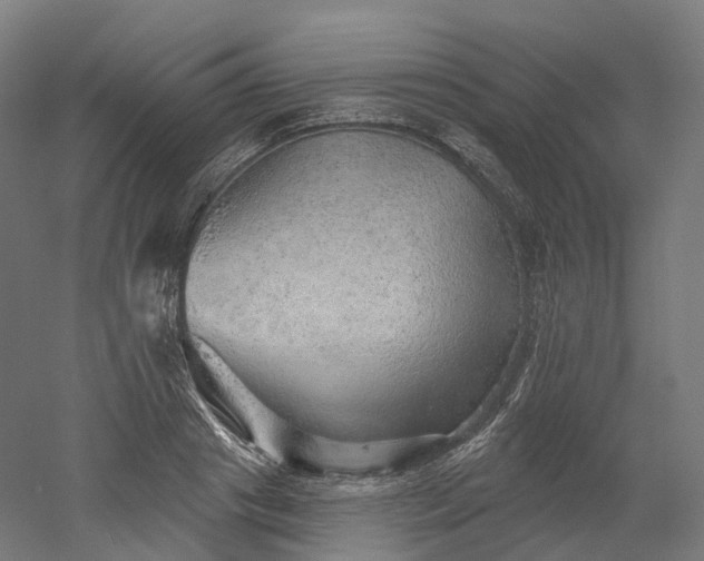 X0000052930841200507151615