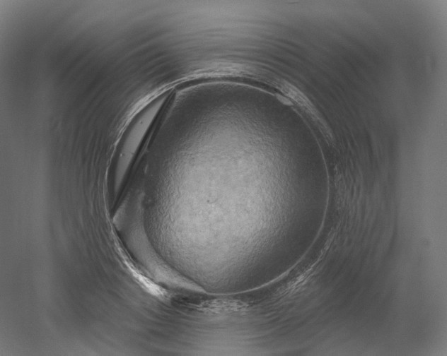 X0000052930842200507151615