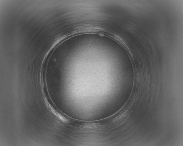 X0000052930843200507151615