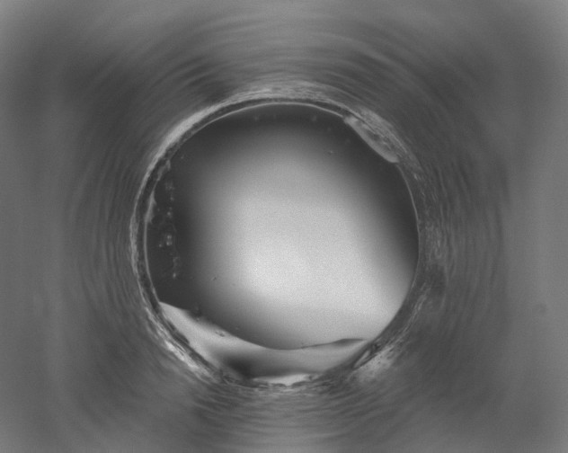 X0000052930846200507151615