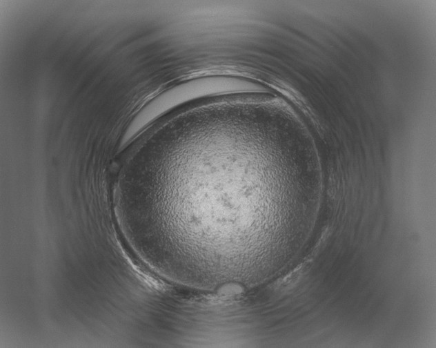 X0000052930849200507151615