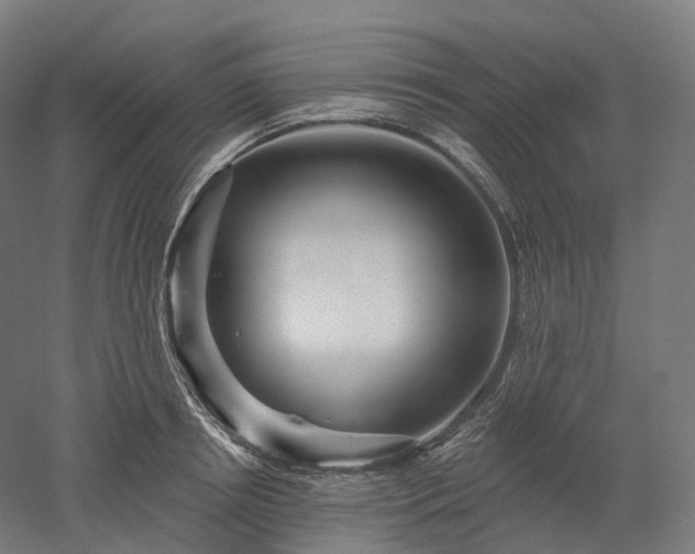 X0000052930850200507151615
