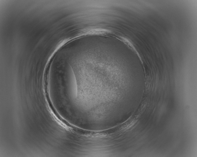 X0000052930851200507151615