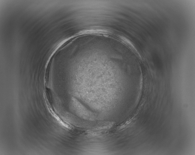 X0000052930852200507151615