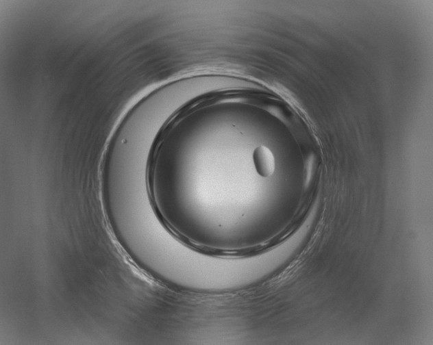 X0000052930854200507151615