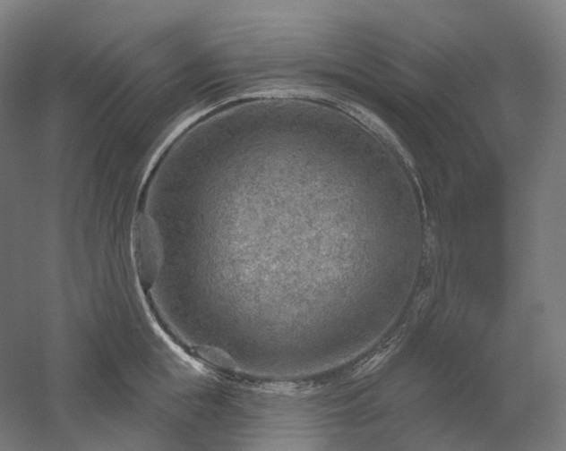 X0000052930855200507151615