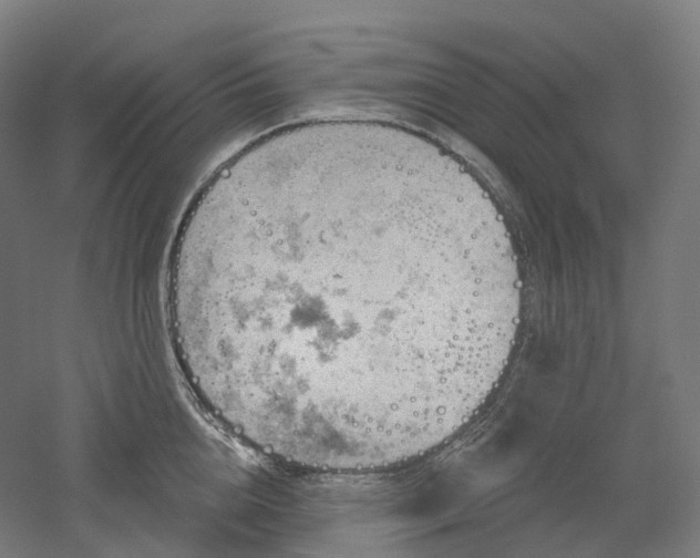 X0000052930856200507151615