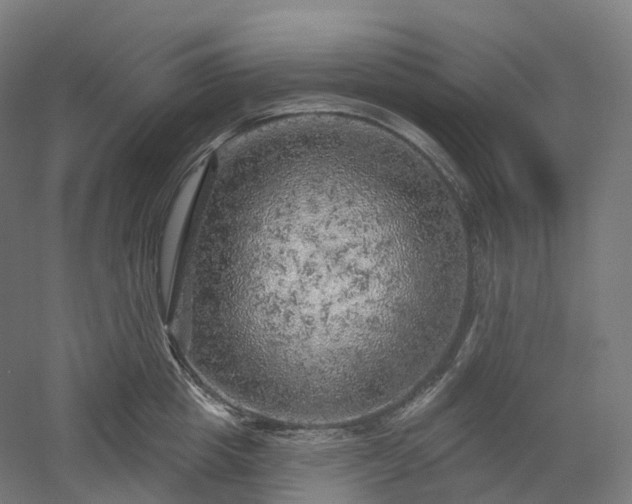 X0000052930857200507151615