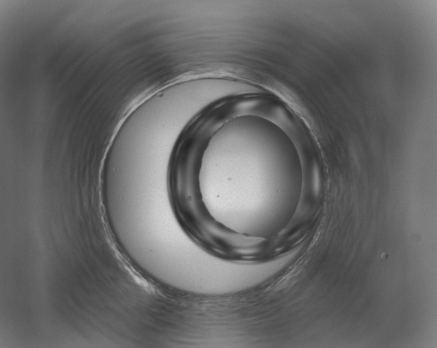 X0000052930858200507151615