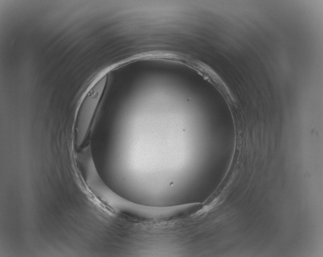 X0000052930860200507151615