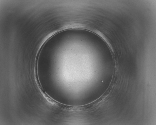 X0000052930861200507151615