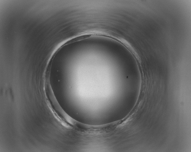 X0000052930862200507151615