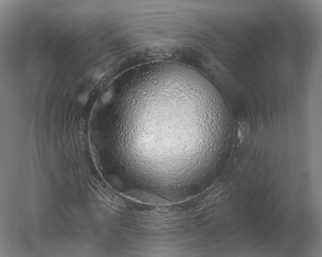 X0000052930867200507151614