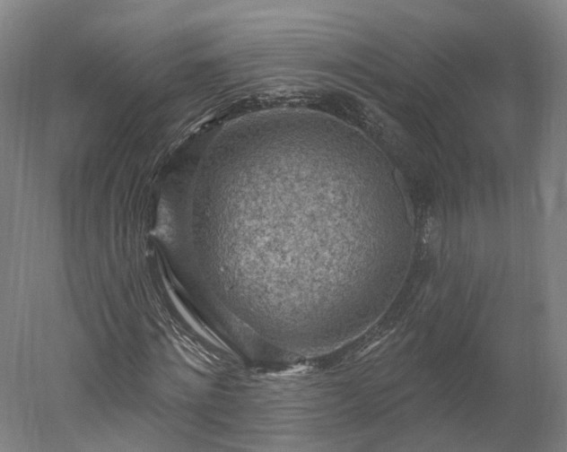 X0000052930868200507151614