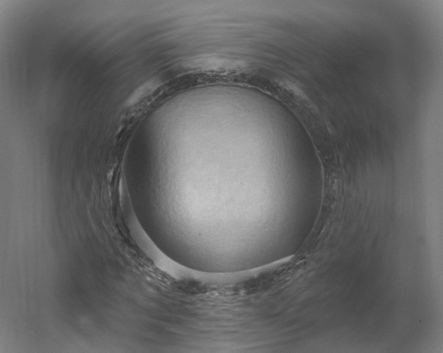 X0000052930869200507151614