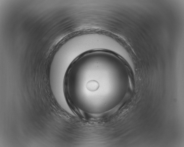 X0000052930871200507151614