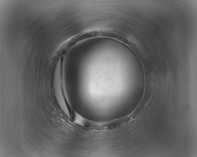X0000052930872200507151614