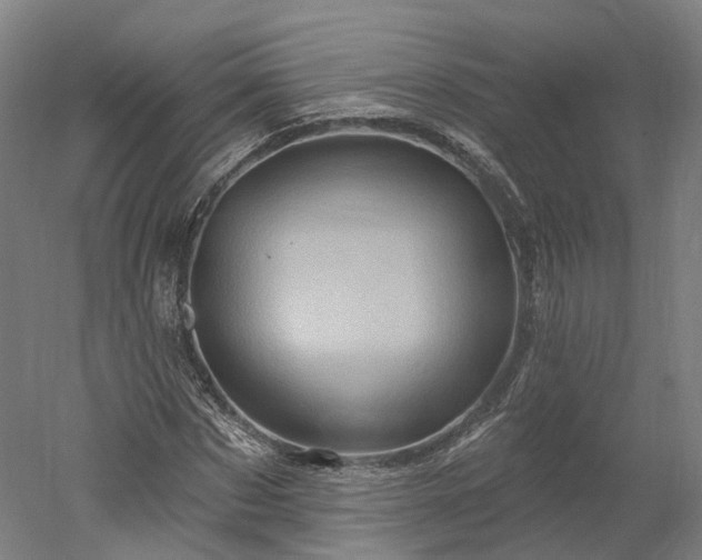 X0000052930873200507151614