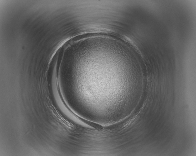 X0000052930875200507151614