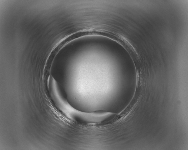 X0000052930876200507151614