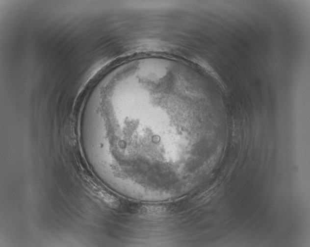 X0000052930878200507151614