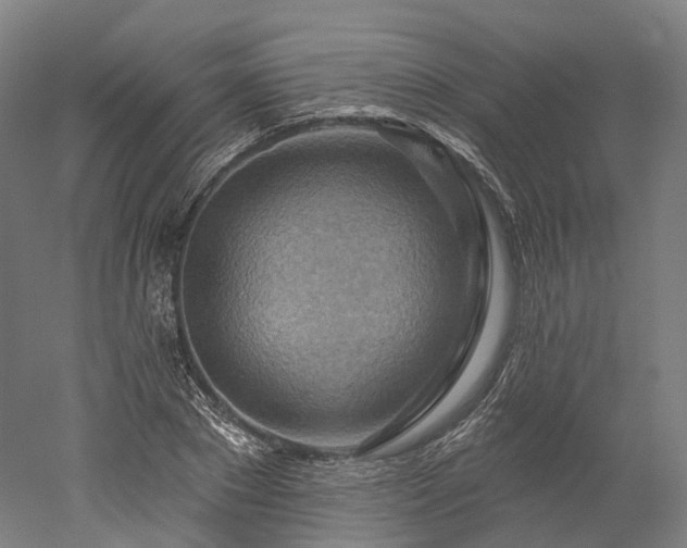 X0000052930881200507151614