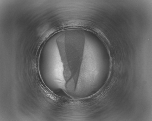 X0000052930882200507151614