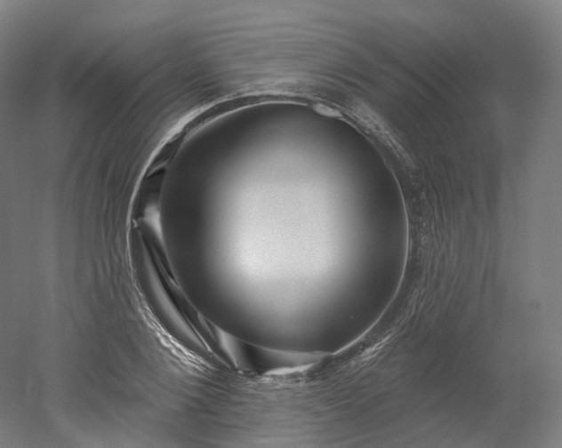 X0000052930884200507151614