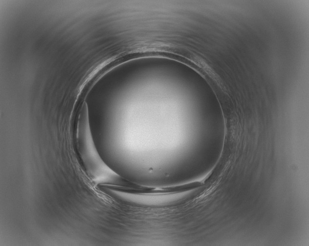 X0000052930885200507151614