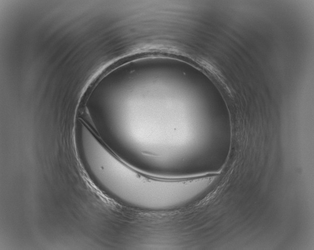 X0000052930888200507151614