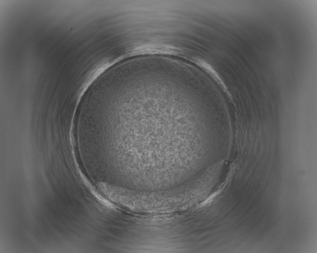 X0000052930893200507151614