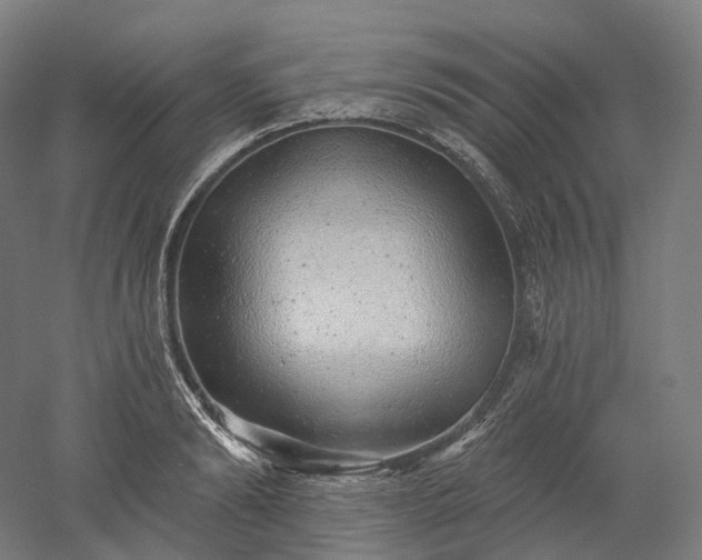 X0000052930894200507151614